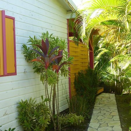 Coco Bungalows Сент-Роз Экстерьер фото